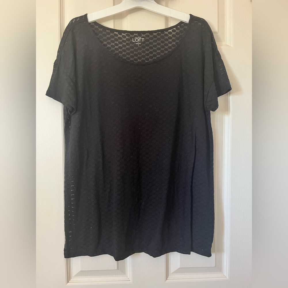 ann taylor LOFT women’s black sheer polka dot top